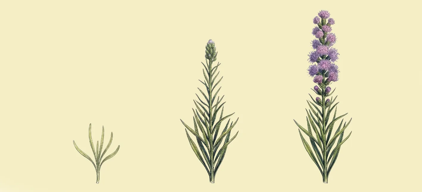 Botanical Accent — Bloom It