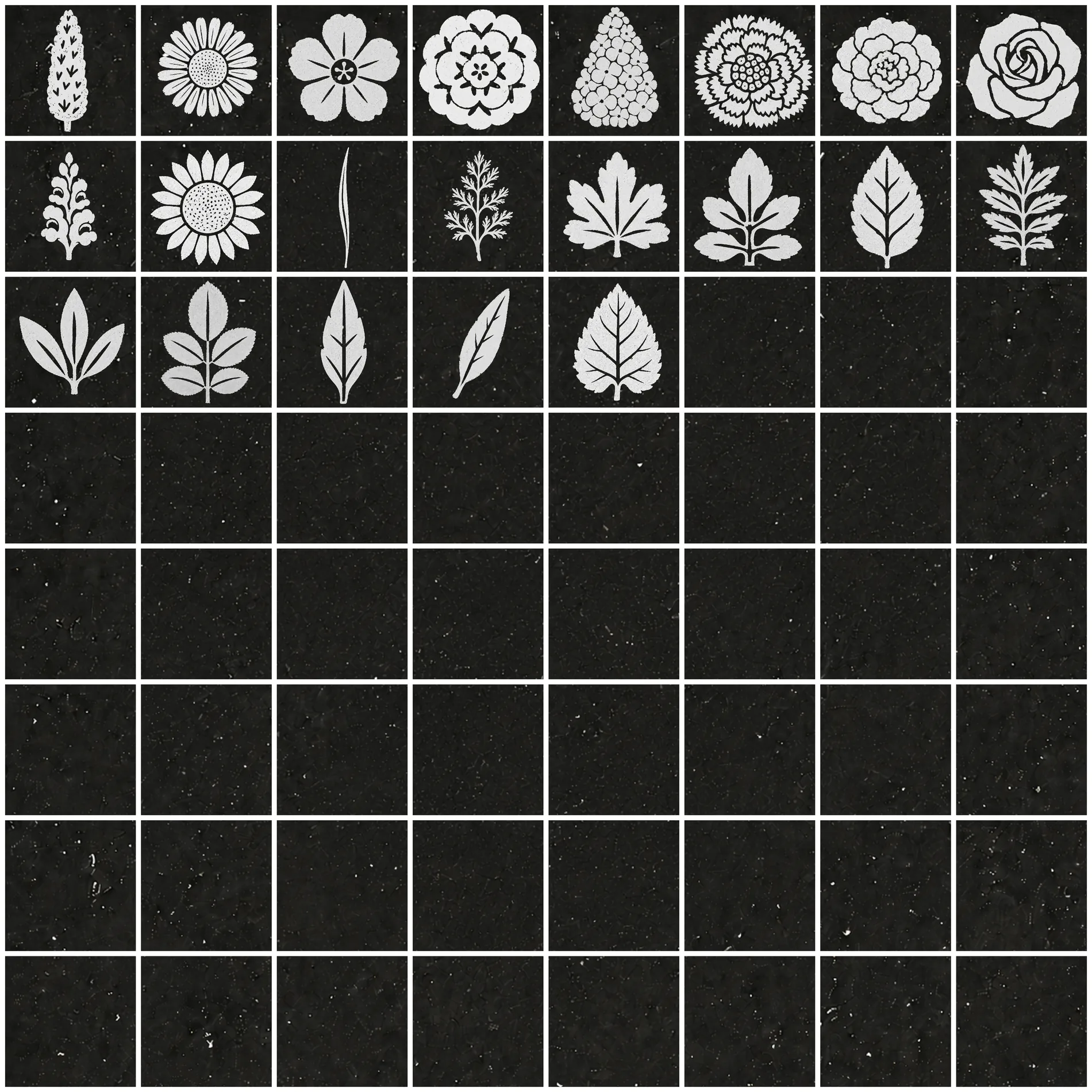 Plant Texture Atlas — Bloom It